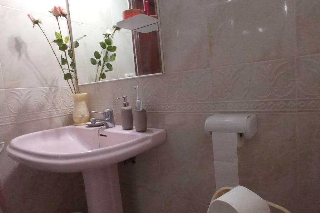 Apartamento En Centro De Apartamento *
